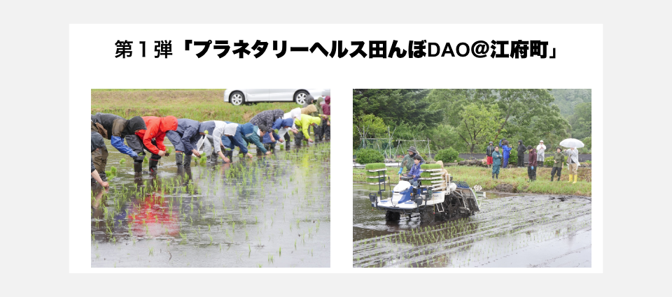 「田んぼDAO」とは?