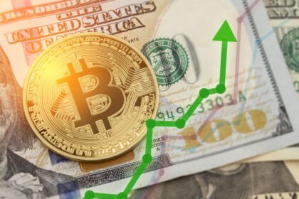 ビットコイン、高金利下でも上昇　背景に「価値の保存手段」認識の拡大＝CryptoQuant