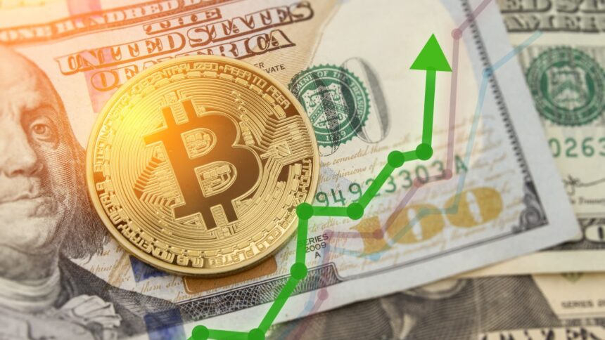 ビットコイン、高金利下でも上昇　背景に「価値の保存手段」認識の拡大＝CryptoQuant