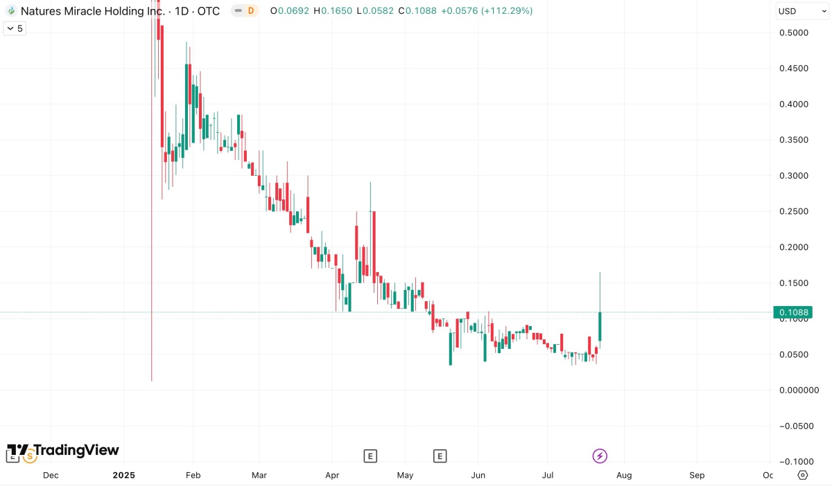 Nature’s Miracle Holding Inc.の株価チャート（1日足）。2025年7月にかけて下落傾向が続いていたが、7月23日に急騰し、株価が一時0.165ドルまで上昇。
