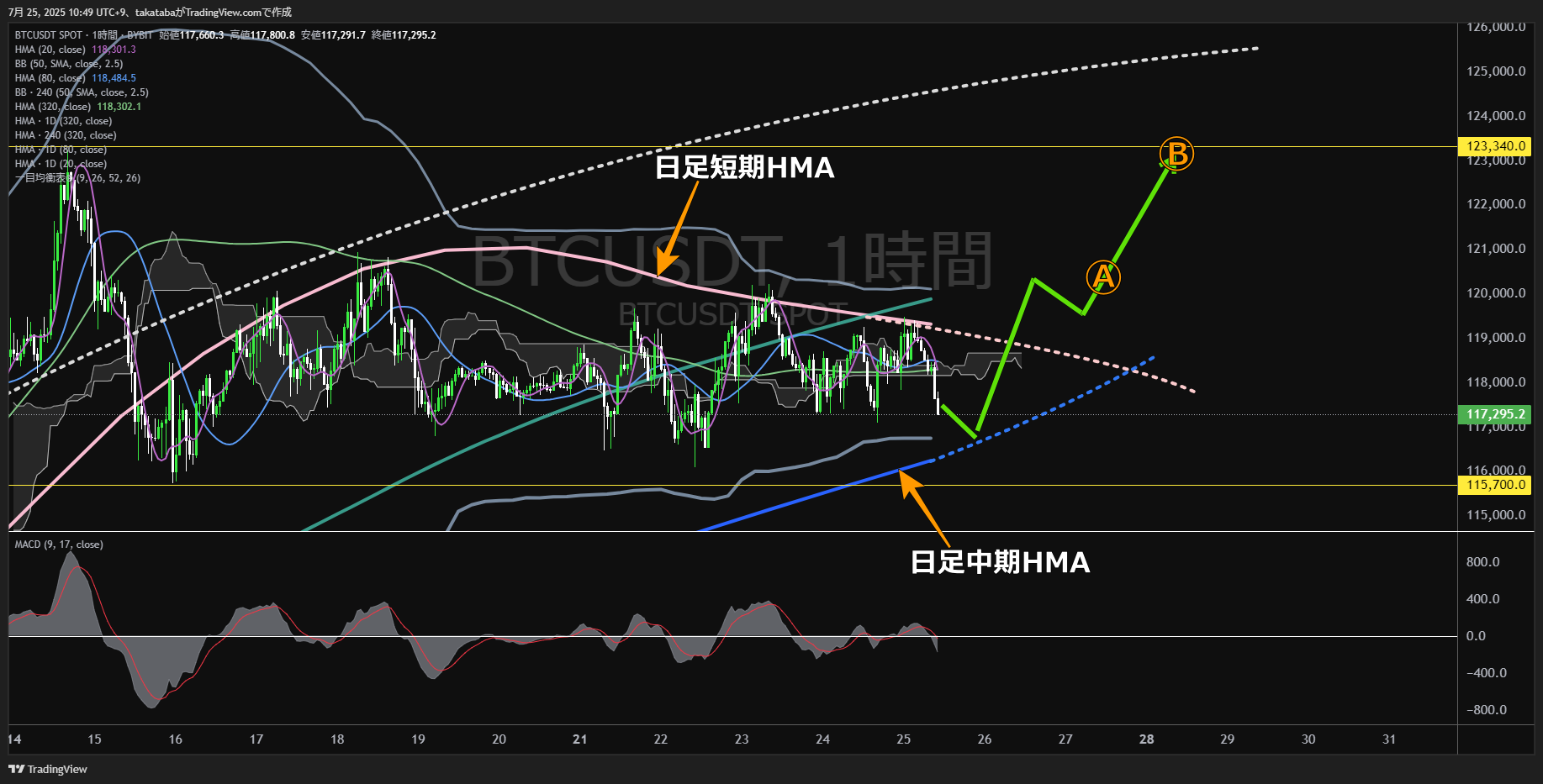 ビットコイン（BTC）-1時間足チャート分析-2025年7月25日