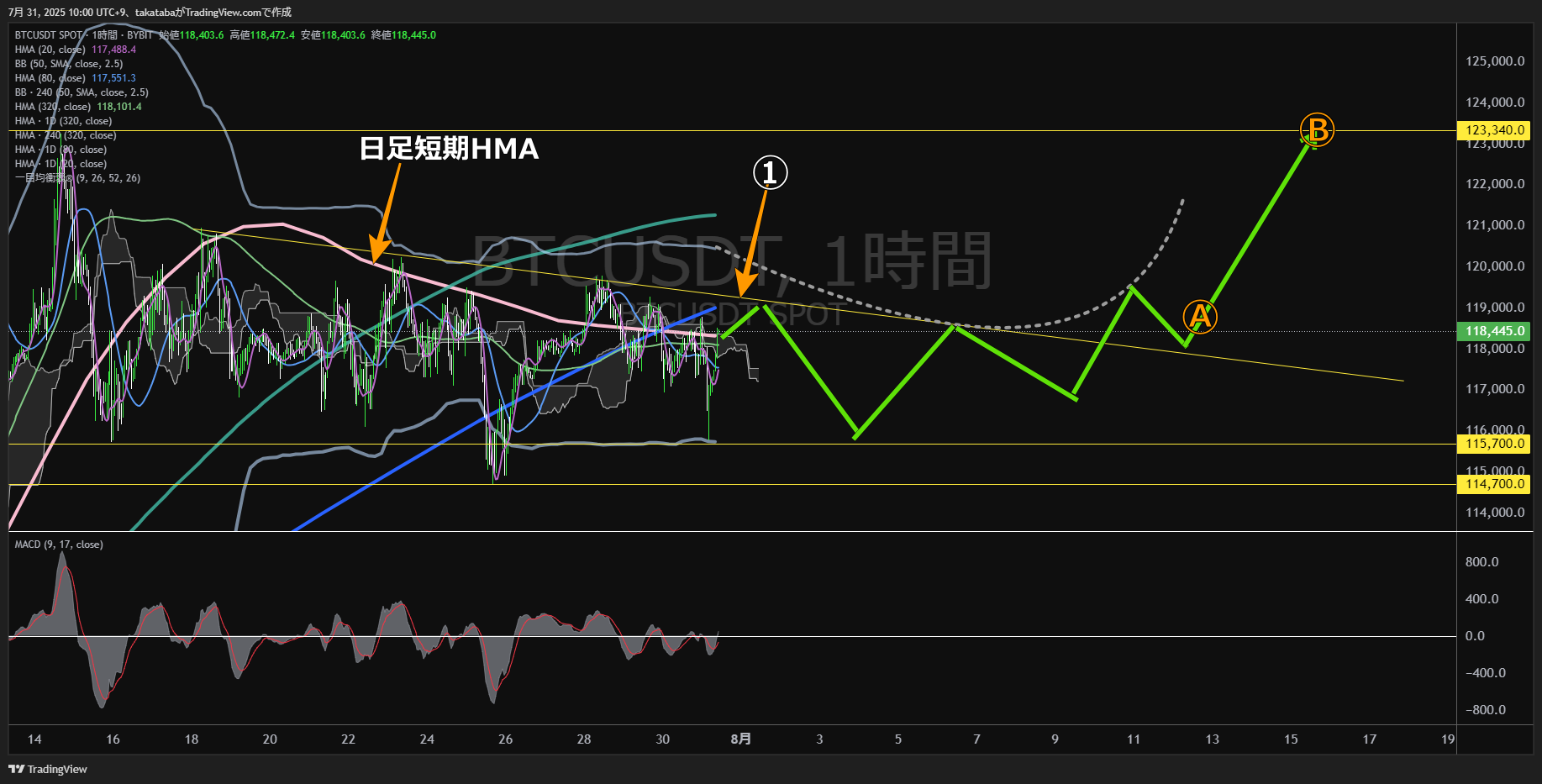 ビットコイン(BTC)-1時間足チャート分析-2025年7月31日