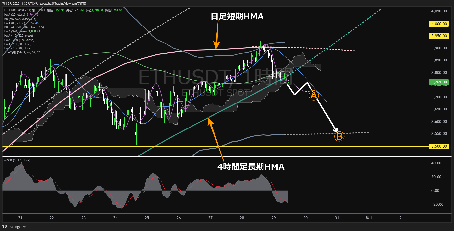 ビットコイン(BTC)-1時間足チャート分析-2025年7月29日