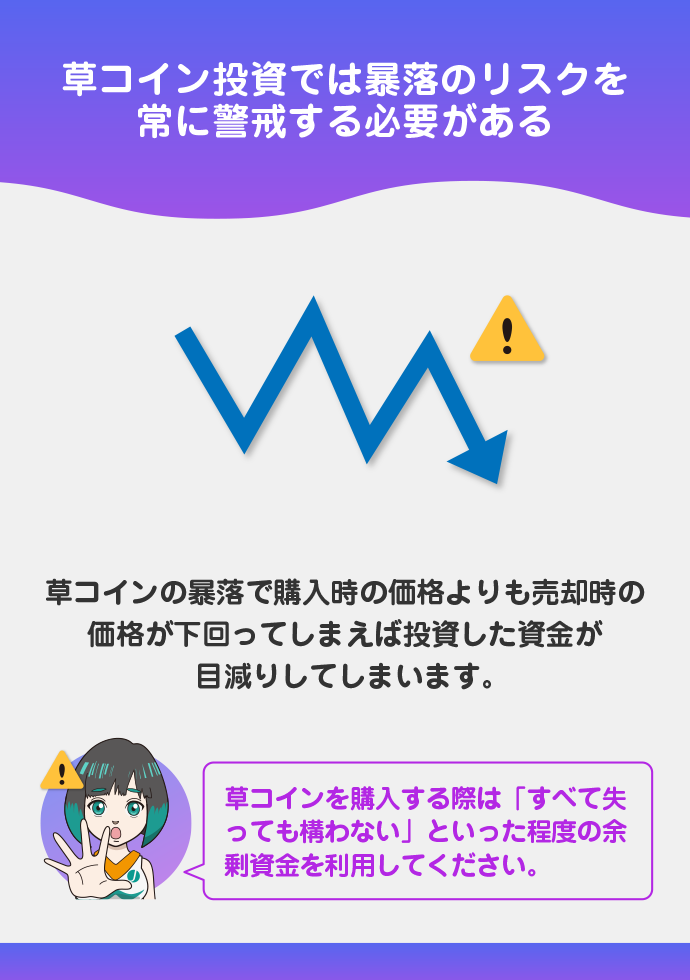 購入した草コインが暴落するリスクを常に考慮する