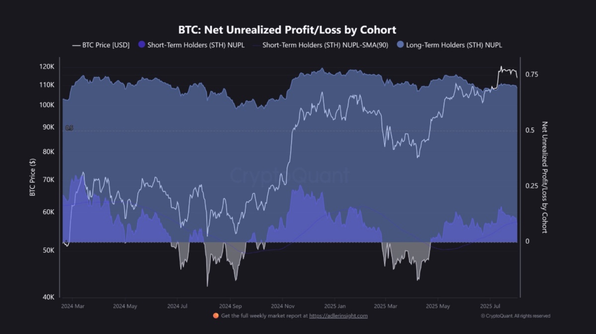 ビットコインの価格と、短期および長期保有者ごとの純未実現損益（NUPL）の推移を示すグラフ。長期保有者は一貫して高い利益水準を維持し、短期保有者は価格変動に応じて利益・損失を繰り返している。