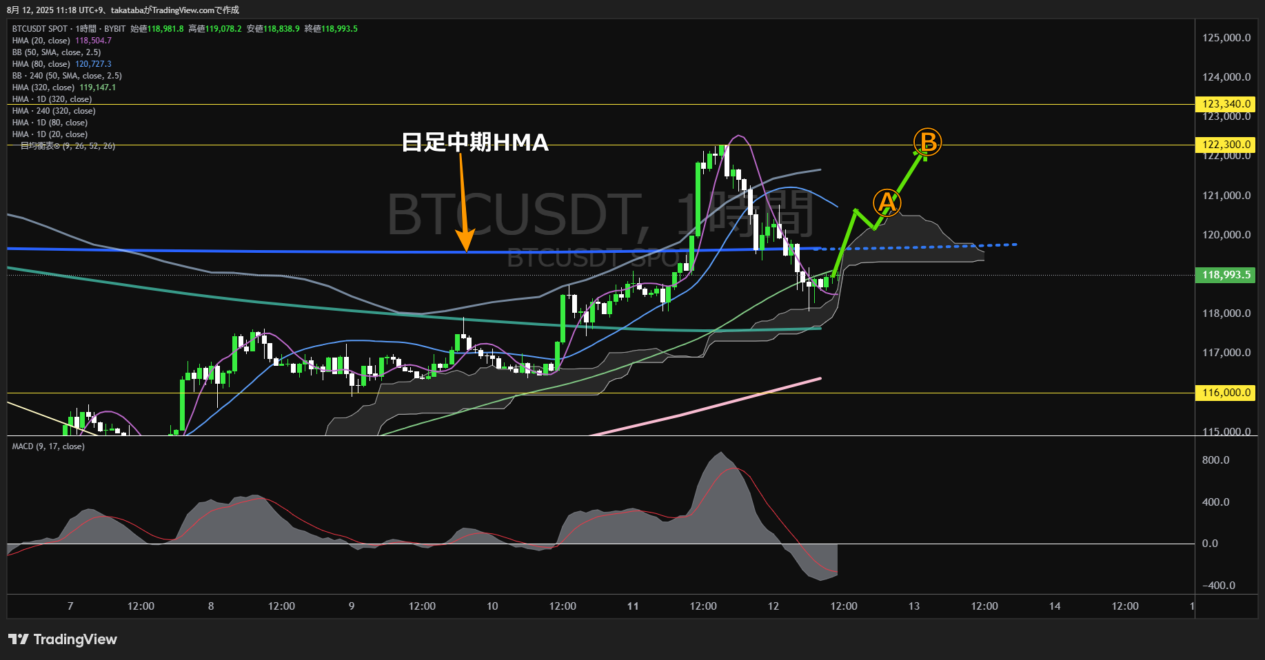 ビットコイン(BTC)-1時間足チャート分析-2025年8月12日