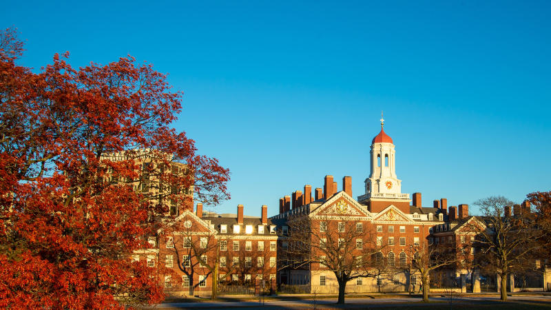 ハーバード大学、初のビットコインETF投資を開示──1億1,670万ドル相当のIBIT保有