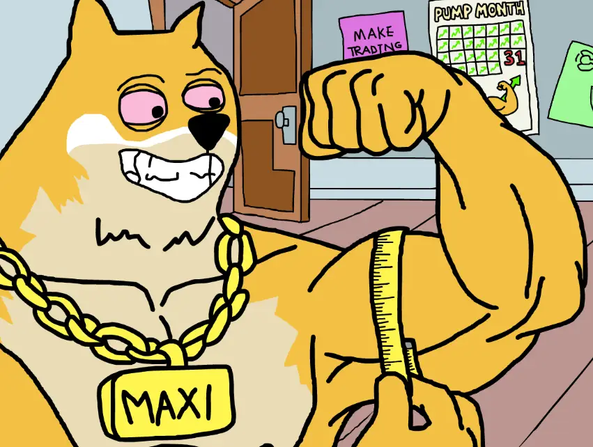 Maxi Dogeの3つの注目ポイント
