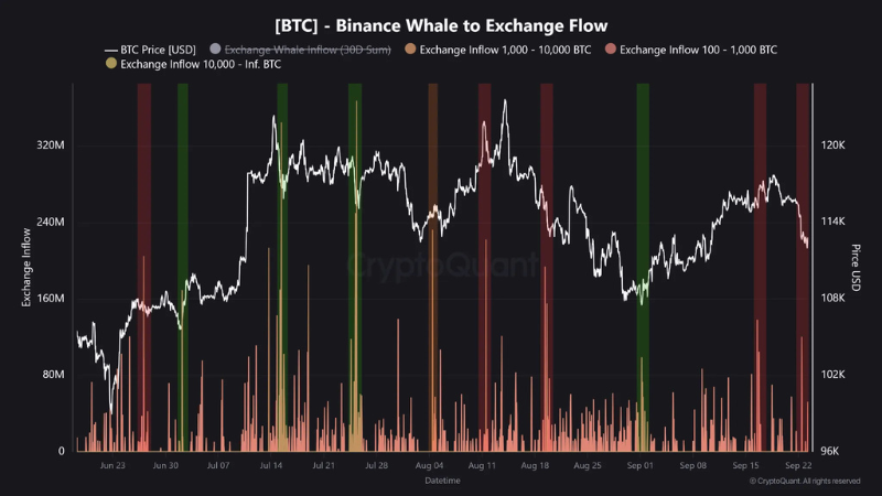 ビットコイン大幅下落の背景にクジラ動向──バイナンスへ過去1ヶ月で2番目の大量流入