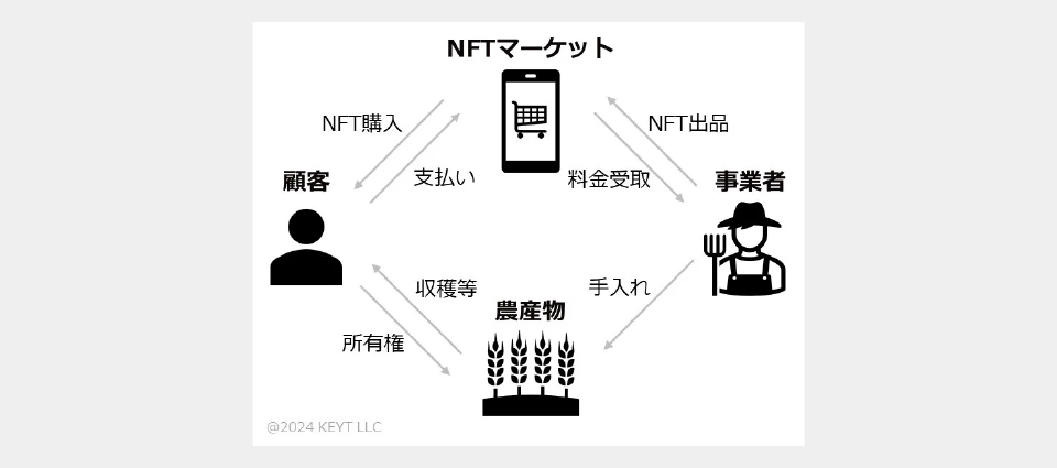 「柿の木NFT」とは？