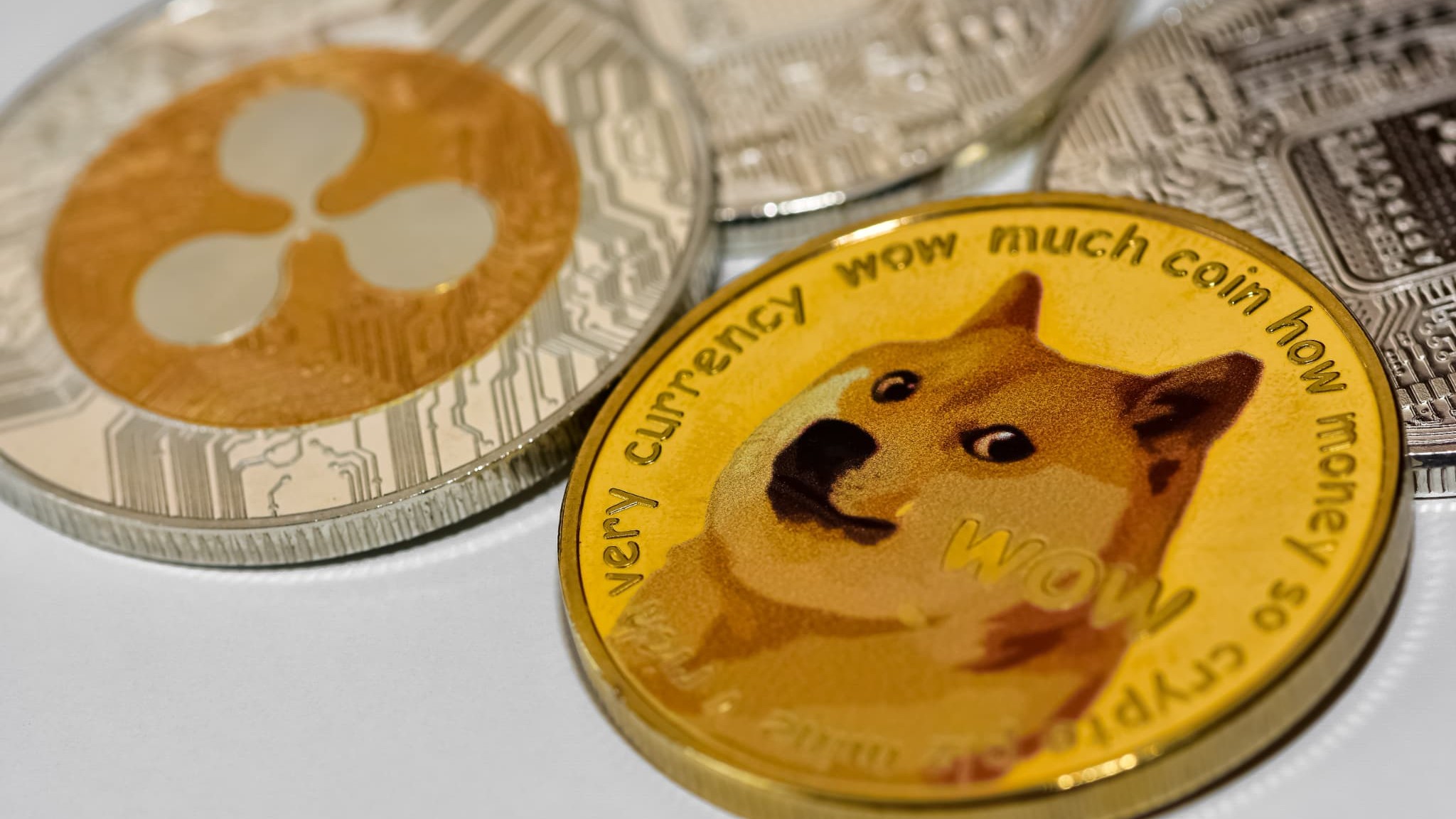ドージコインETF・XRP現物ETFが米国初上場──初日取引は予想超えの好発進