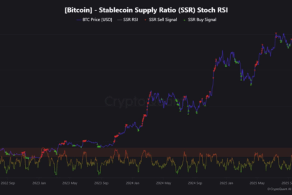 ビットコインに買いシグナル点灯、SSRストックRSIが示唆──2024年後半と類似パターンで上昇の可能性＝暗号資産アナリスト