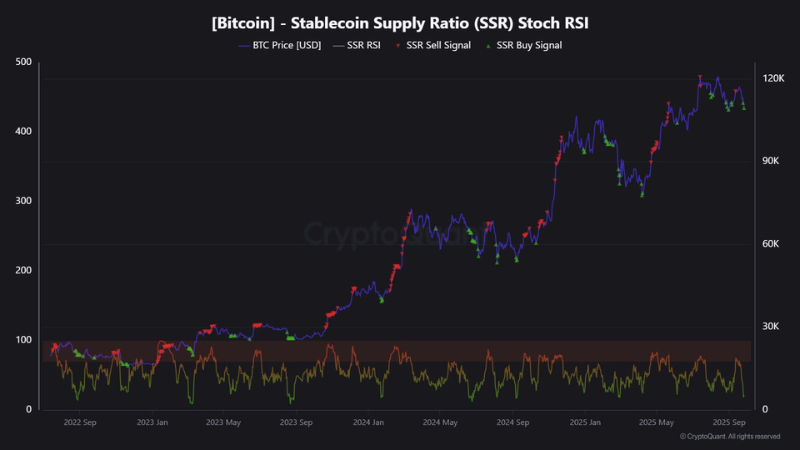 ビットコインに買いシグナル点灯、SSRストックRSIが示唆──2024年後半と類似パターンで上昇の可能性＝暗号資産アナリスト