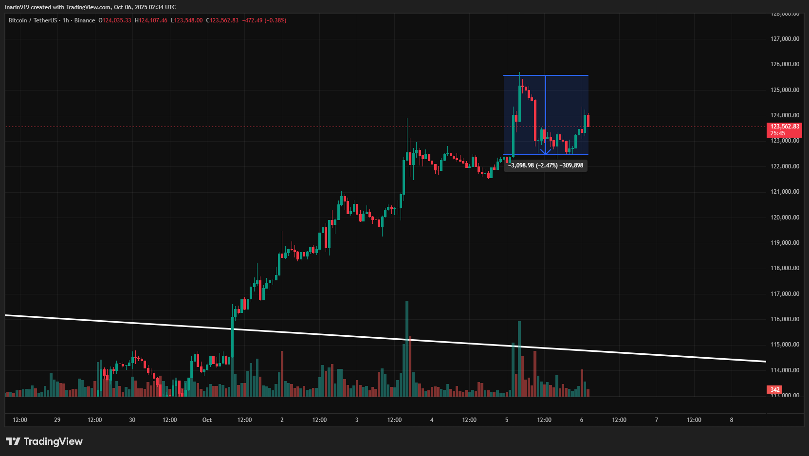 ビットコインが一時12万5,000ドル付近で反落し、約2.5％調整した様子を示すチャート。出典：TradingView