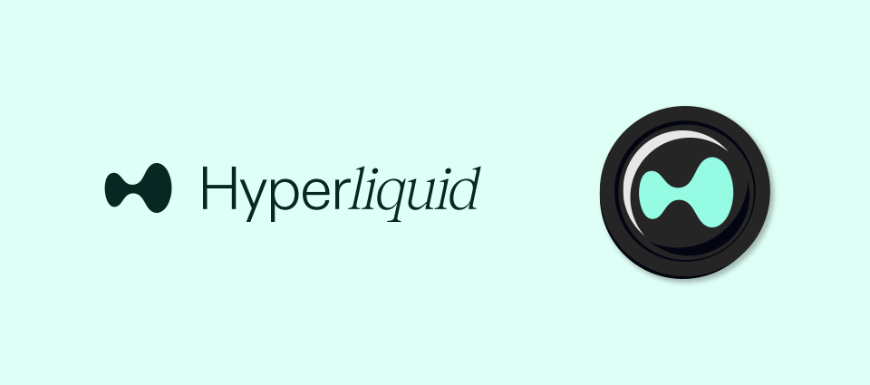 基軸通貨「HYPE」について