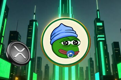 XRP熱が落ち着く中、急上昇する仮想通貨3選