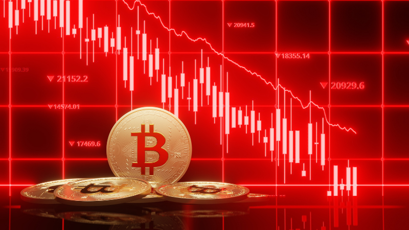 「多くのDAT企業はNAV割れ、バブルは既に崩壊　成功するDATは2社のみ」＝ビットマイン会長