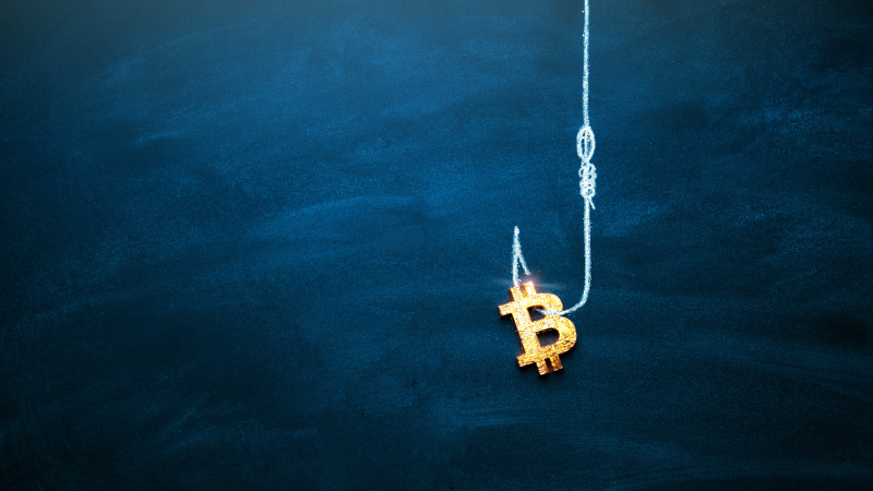 米国人の3人に1人が仮想通貨詐欺の被害経験──平均被害額は約50万円、AI悪用の合成ID詐欺は700%増