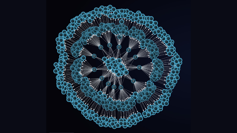 Monadプロジェクト「aPriori（APR）」エアドロップで不正疑惑──60％超が単一主体に、14,000ウォレットでシビル攻撃か