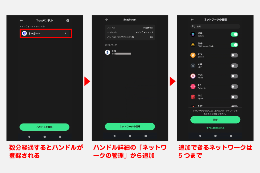 設定後、数分経過するとハンドルが登録されます。初期状態ではFIOネットワークでのみ有効なので、ハンドル詳細の「ネットワークの管理」から追加してください。追加できるネットワークは5つまでです。