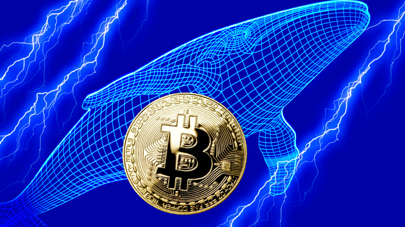 ビットコインクジラが4万5千枚蓄積、2025年2番目の規模──バイナンスから史上最大級の流出も