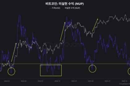 ビットコイン、NUP指標が0.47まで低下──底打ちパターン示唆＝アナリスト