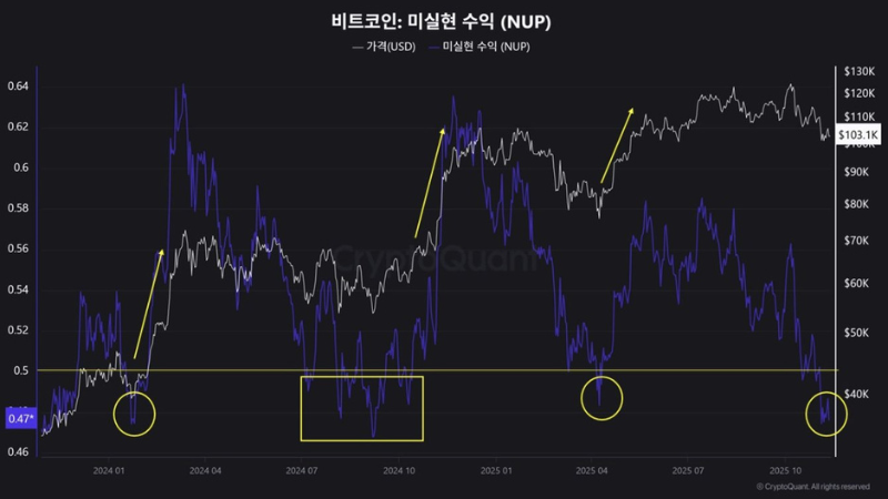 ビットコイン、NUP指標が0.47まで低下──底打ちパターン示唆＝アナリスト