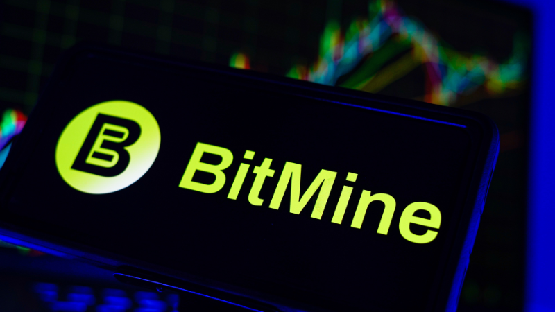 米ビットマイン、イーサリアム11万枚追加購入──総供給量の2.9%保有、総資産約2兆円