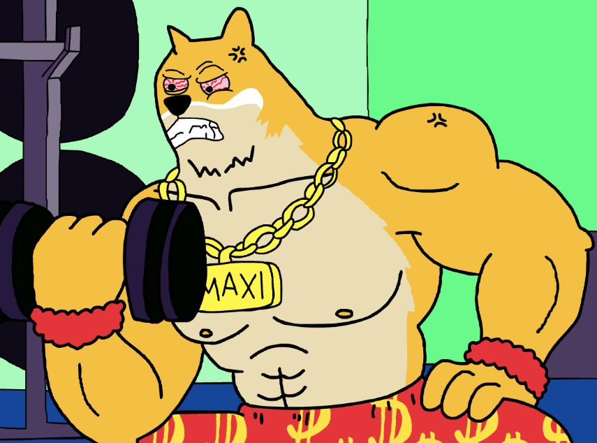 投資家が注目する理由｜ドージコインを彷彿とさせるコイン