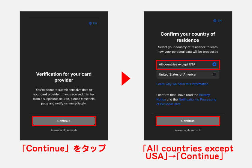 外部サービスに移行し、本人確認書類等の提出を進めます。開いた画面で「Continue」をタップし、「All countries except USA」にチェックを入れて「Continue」をタップしてください。