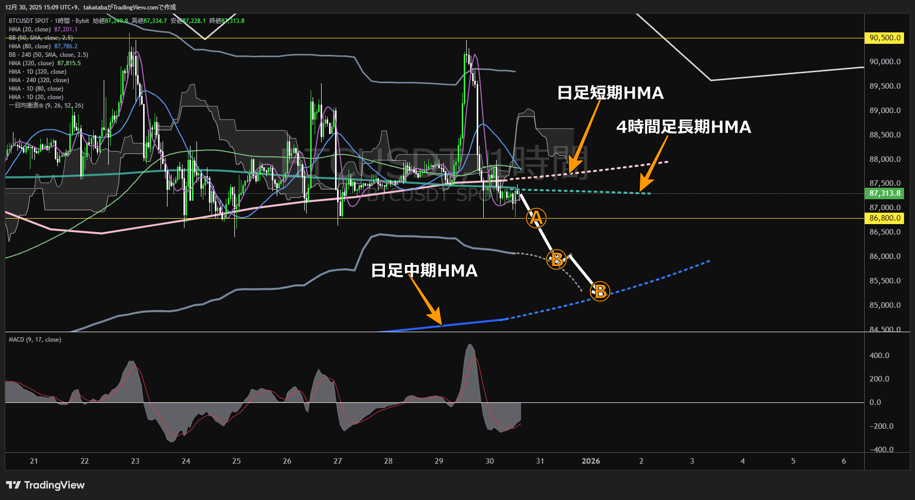 ビットコイン（BTC）-1時間足チャート分析-2025年12月30日
