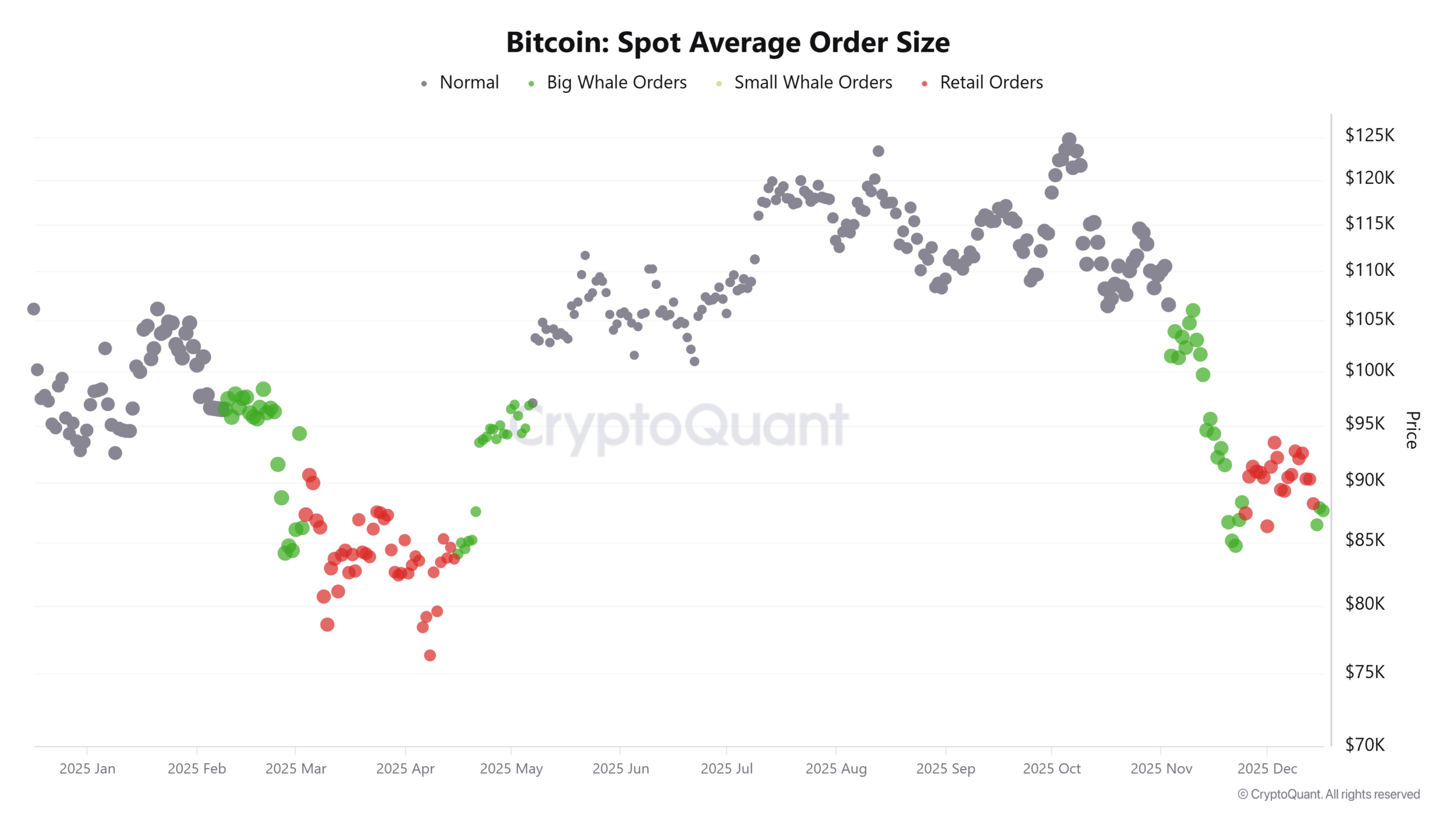 ビットコインの現物平均注文サイズ推移(2025年1月〜12月、CryptoQuant)。グレーは通常注文、グリーンはクジラ注文、レッドは個人投資家注文。12月中旬以降、クジラ優勢から個人投資家主導へ移行。