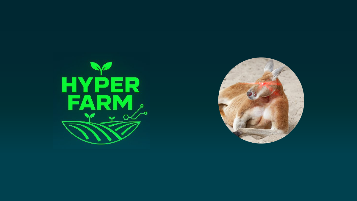 【独占取材】話題の農業ブロックチェーンゲームHyper Farm責任者kotaro氏に聞く〜ゲームに注ぐ情熱と今後の野望〜