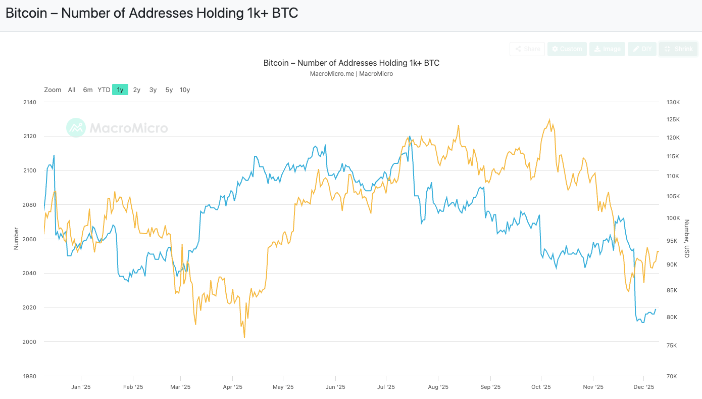 大口保有者数（1k+ BTC）
