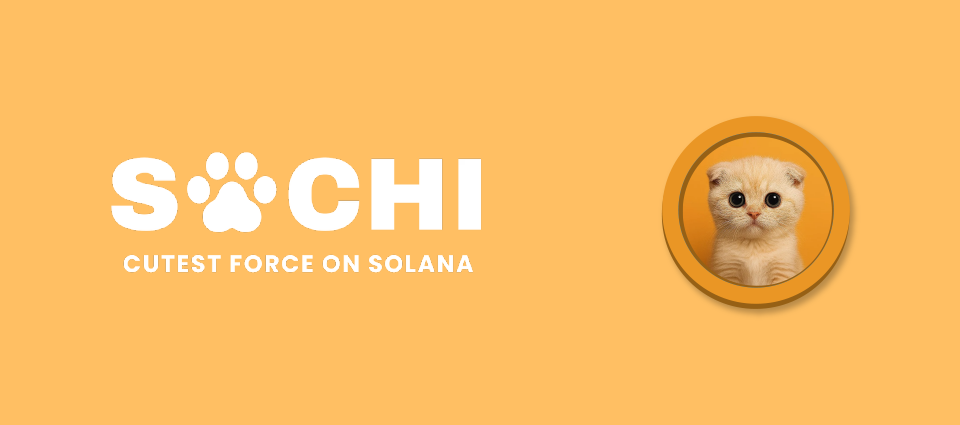 SachiCoin (SACHI)の概要