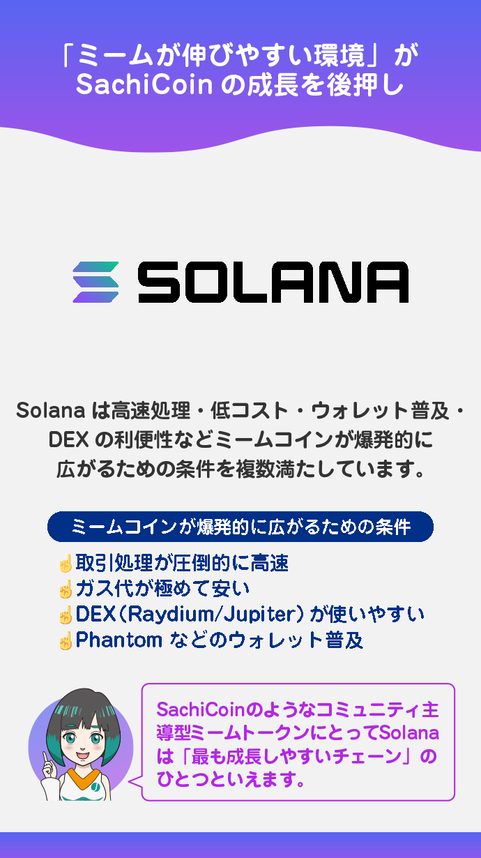 Solanaミーム市場との強い相性