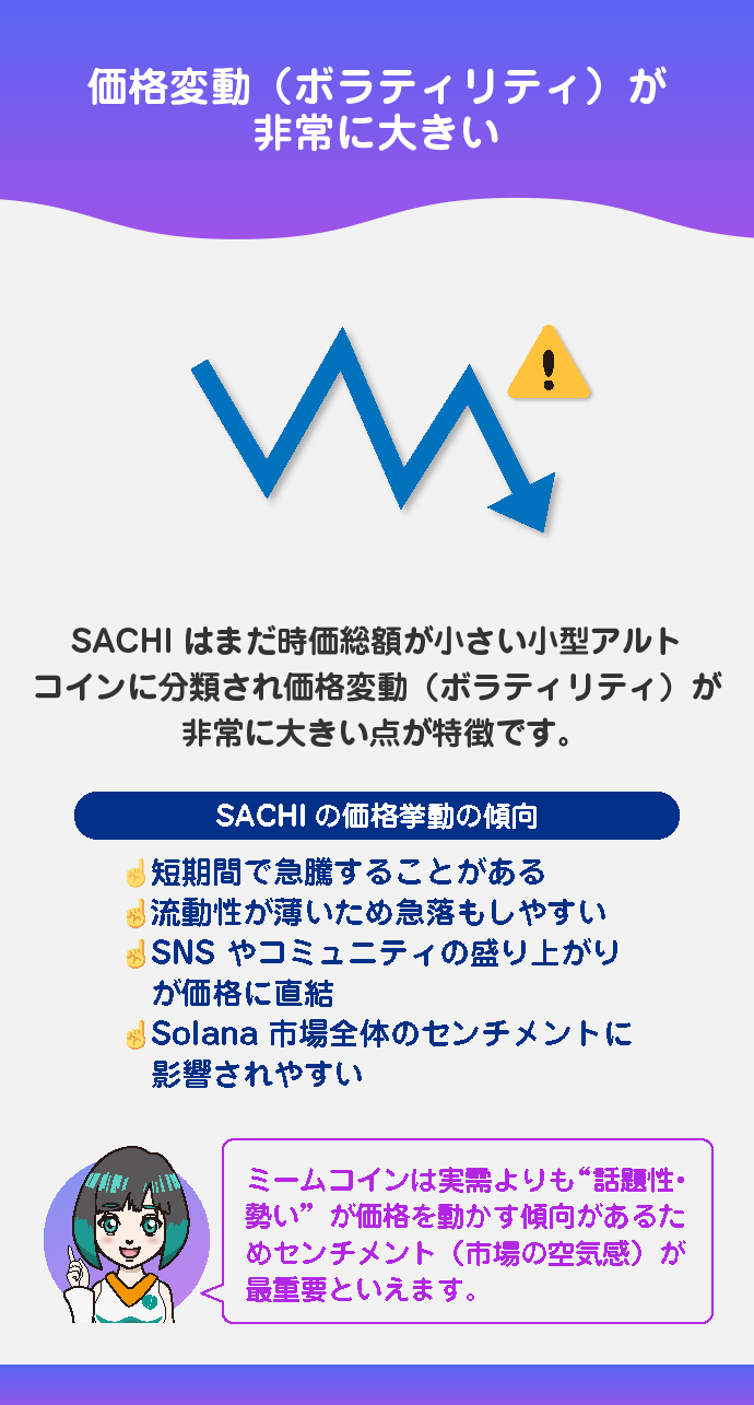 市場動向と価格の特徴