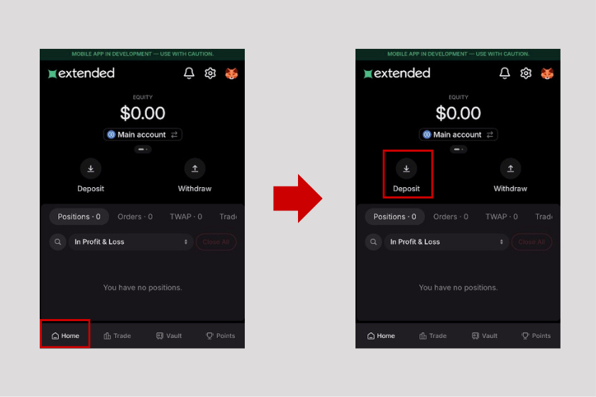 画像5:Extended 入金方法05