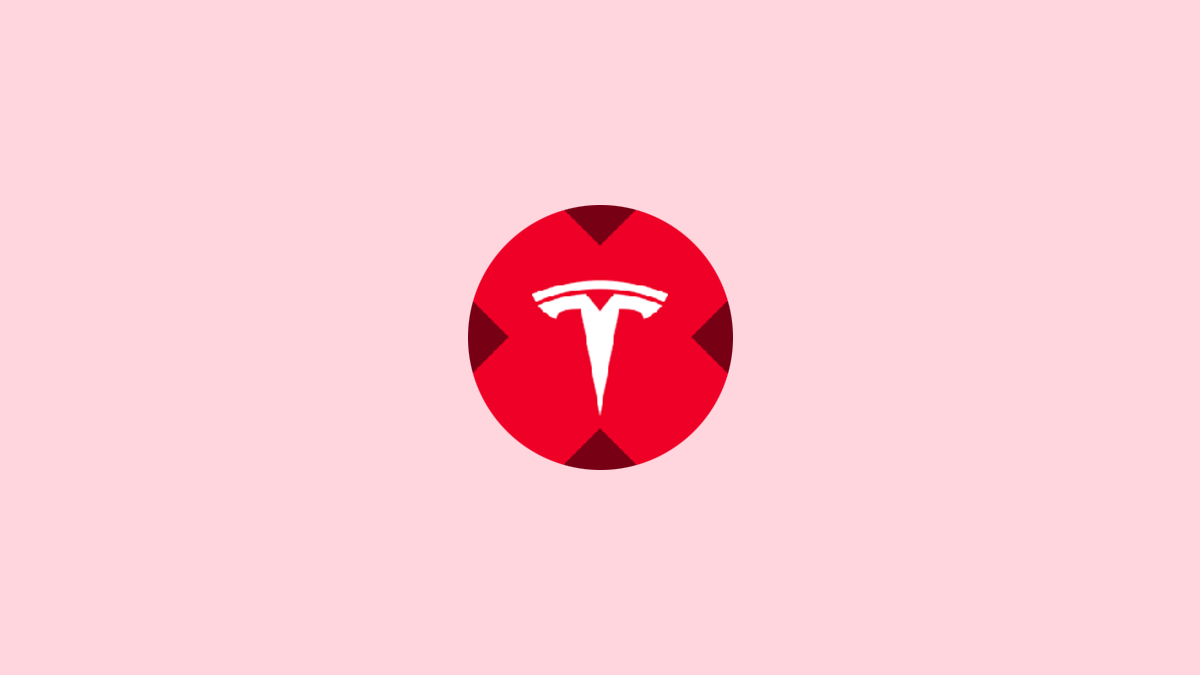 Tesla tokenized stock (xStock)（TSLAX）価格・チャート｜リアルタイム相場情報 | JinaCoin