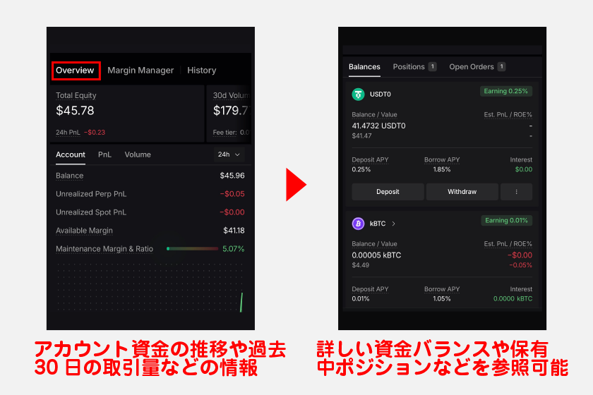 Overiew画面では、アカウント資金の推移や過去30日の取引量、PnLなどの情報を確認できます。画面下では詳しい資金バランスや保有中ポジションなどを参照可能です。