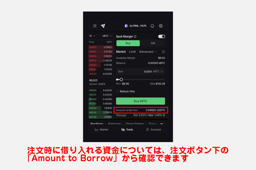 あとはスポット取引と同じように、注文設定を済ませるだけです。注文時に借り入れる資金については、注文ボタン下の「Amount to Borrow」から確認できます。