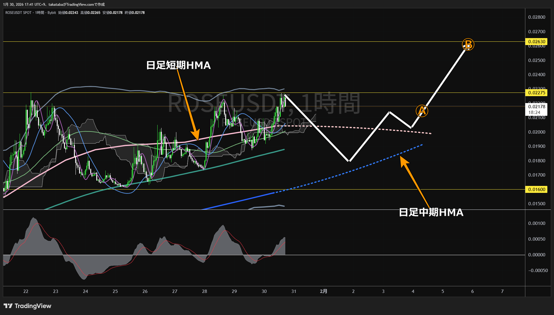 オアシス1時間足チャート-2026年1月30日