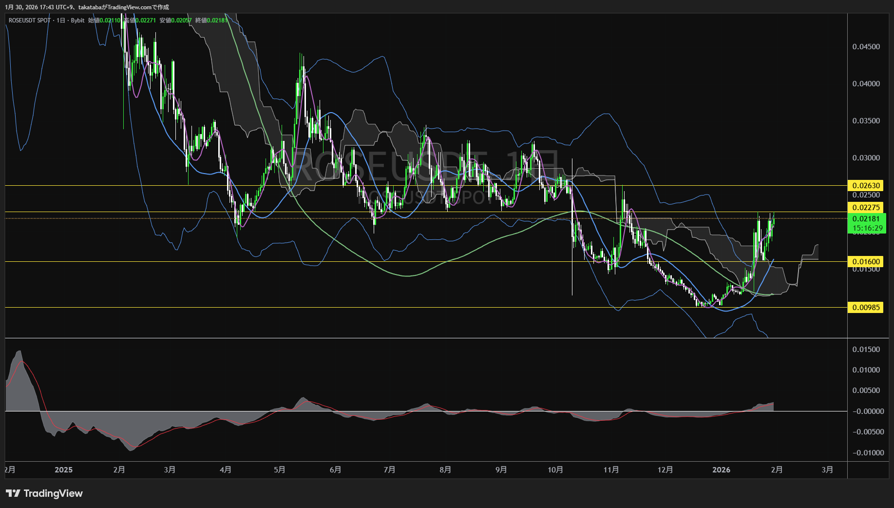 オアシス4時間足チャート-2026年1月30日