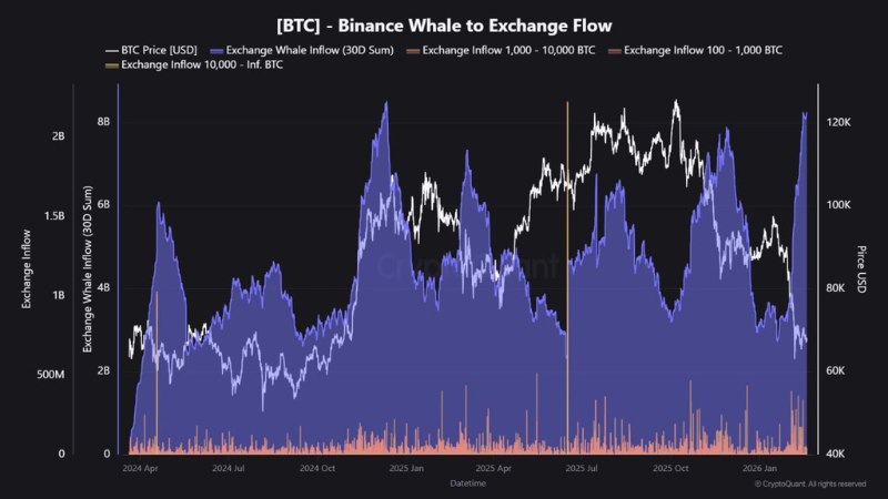 クジラが仕掛ける？ビットコイン83億ドル流入──14カ月ぶり高水準