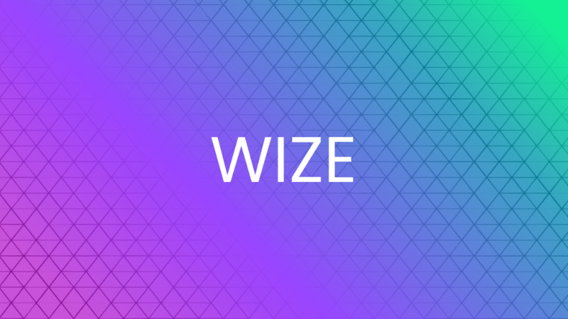 国内上場WIZE、ソラナ累計5億円取得を達成──総保有量2.4万SOL超