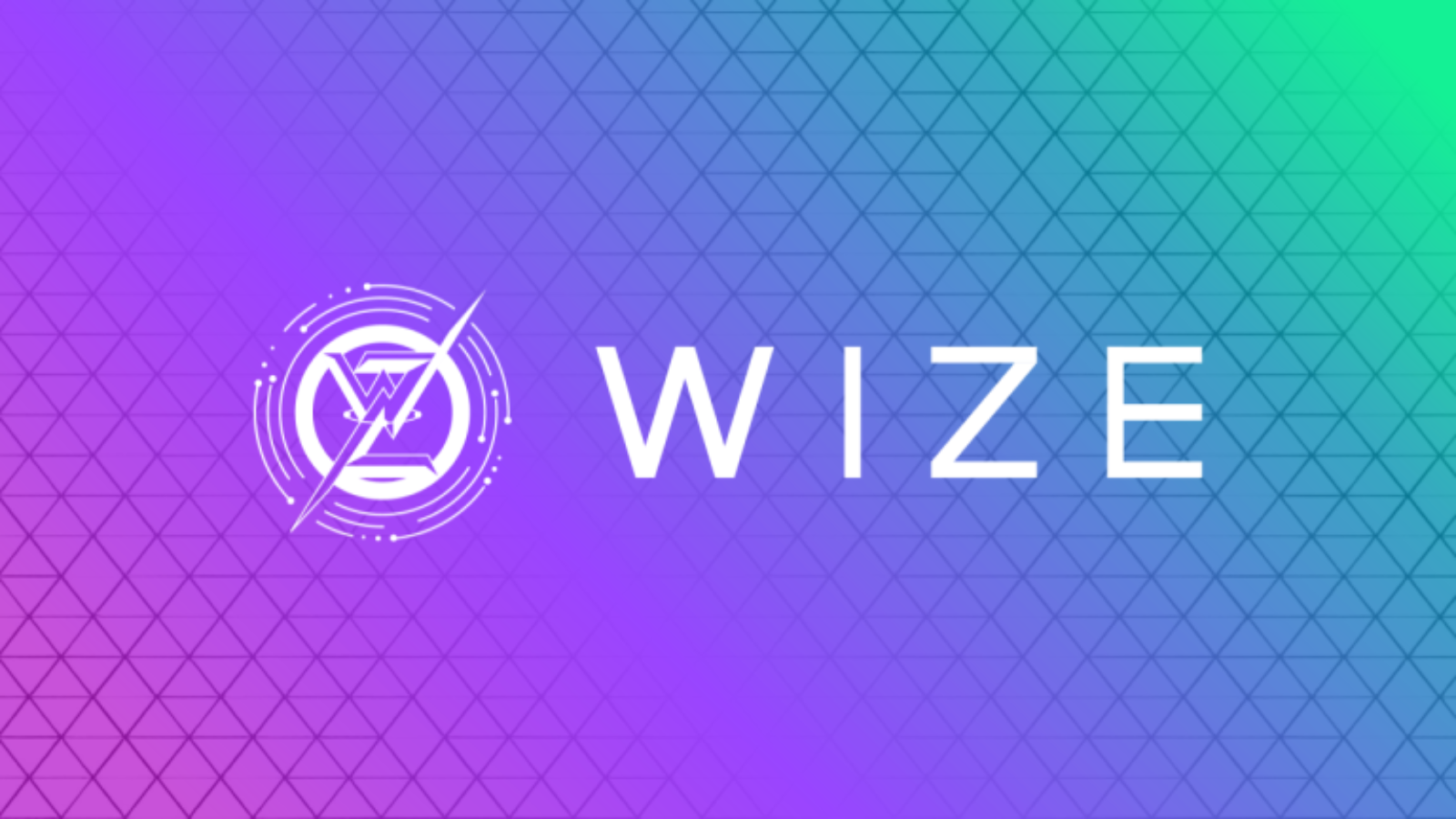国内上場WIZE、1億円相当のソラナ追加購入──累計6億円に