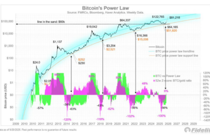ビットコイン、2029年に30万ドル──フィデリティ幹部が強気相場入りを示唆