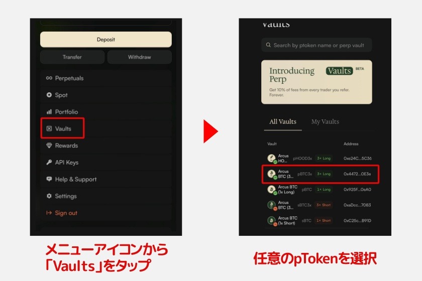 Arcus「Vaults1」