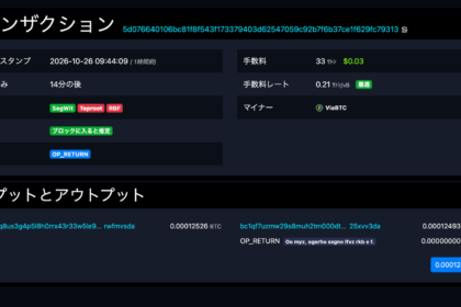ビットコインに刻まれ続ける謎の文字列、資金をたどると米国憲法に